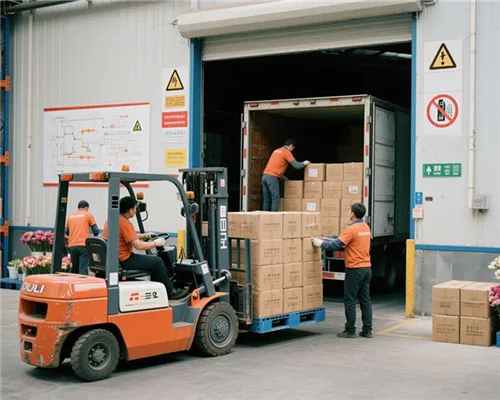 Ouli a semnat un contract cu Nigeria pentru zidul de iarbă artificial în valoare de 20.000 de dolari americani