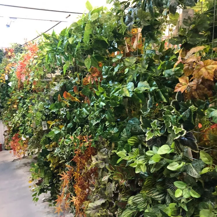 Plantă de iederă artificială