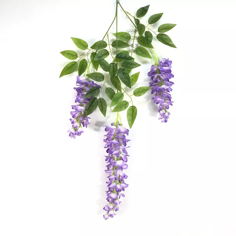 Fake Wisteria ramuri