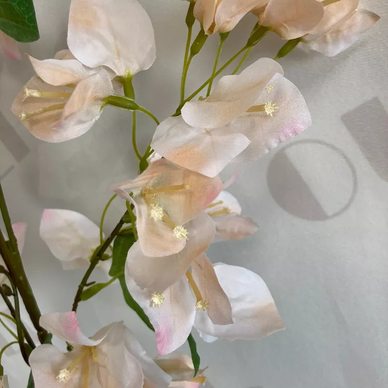 silk bougainvillea for sale